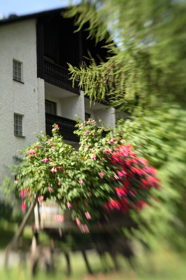 Landhaus Am Forst - Apartments Bad Alexandersbad Extérieur photo